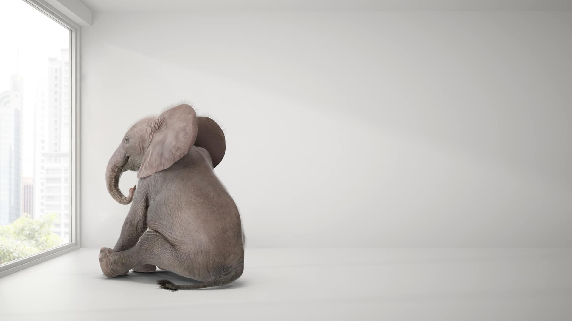 The ‘Elephant and the Tree/Twig’ parable can be likened to employees navigating digital friction in the workplace.