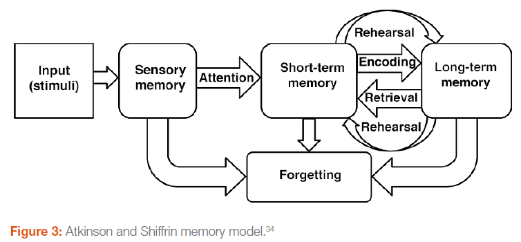 [asset] Atkinson and Shiffin Memory Model